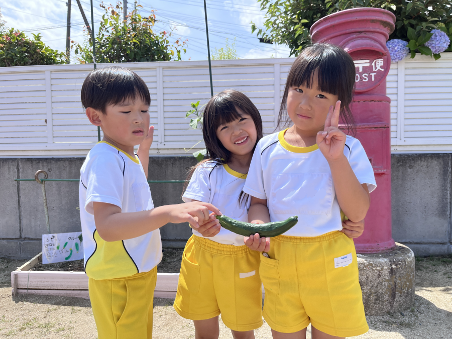 ブログ写真