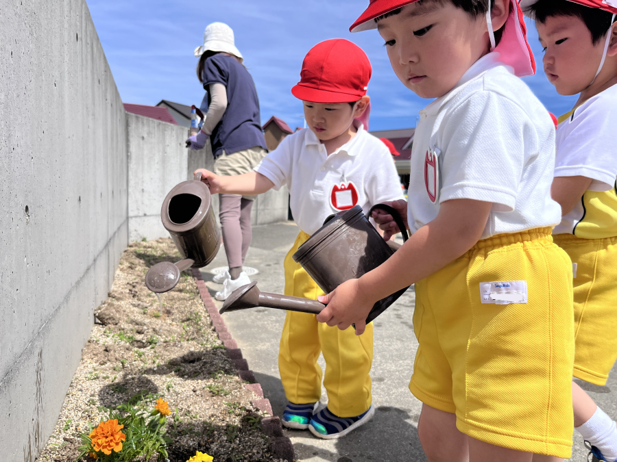 ブログ写真